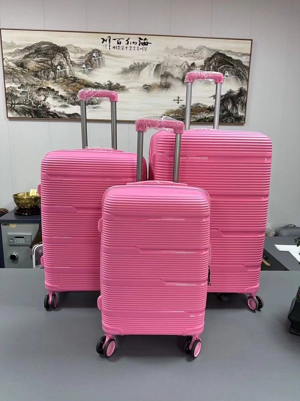 OEM 비즈니스 캐리-온 20 24 28 인치 PP 여행 가방 여행 및 업무