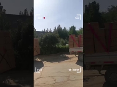 유모성 어린이 만화 수하물 칩 닫히는 멀티스센